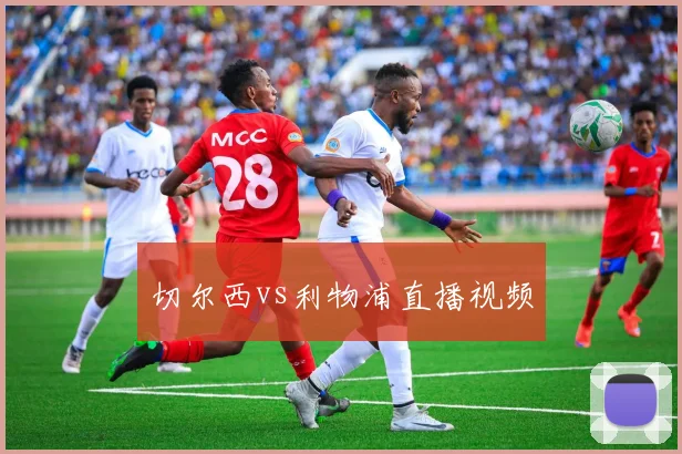 切尔西vs利物浦直播视频